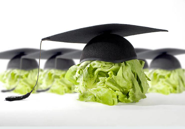 Professional Doctorate in Clinical Nutrition